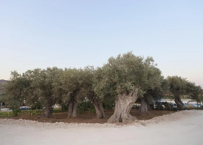 Maison d'hôtes Relais Dea Degli Ulivi 4*