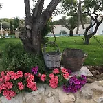 Casa de hóspedes Dea Degli Ulivi Luxury