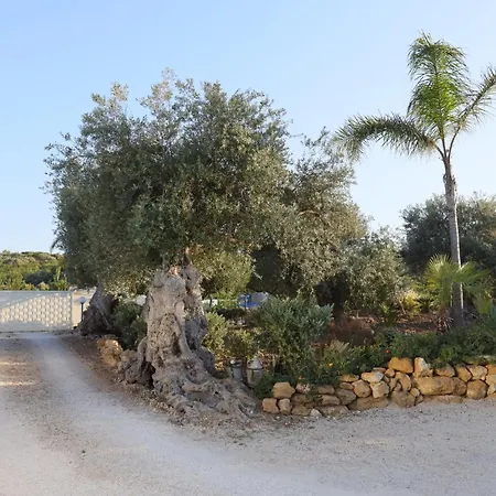 Relais Dea Degli Ulivi Maison d'hôtes 2*