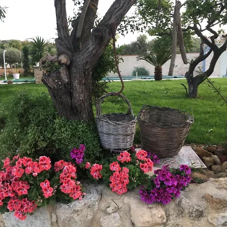 Maison d'hôtes Relais Dea Degli Ulivi