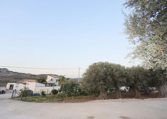 Relais Dea Degli Ulivi 招待所