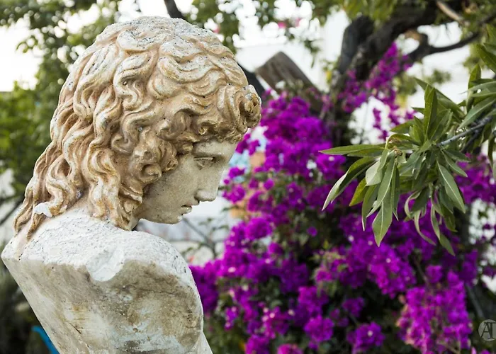 Guest house Relais Dea Degli Ulivi 4*